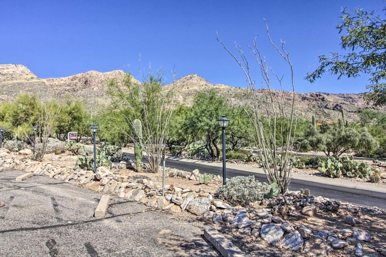 Catalina Foothills, Tucson Valley Hub With View 外观 照片
